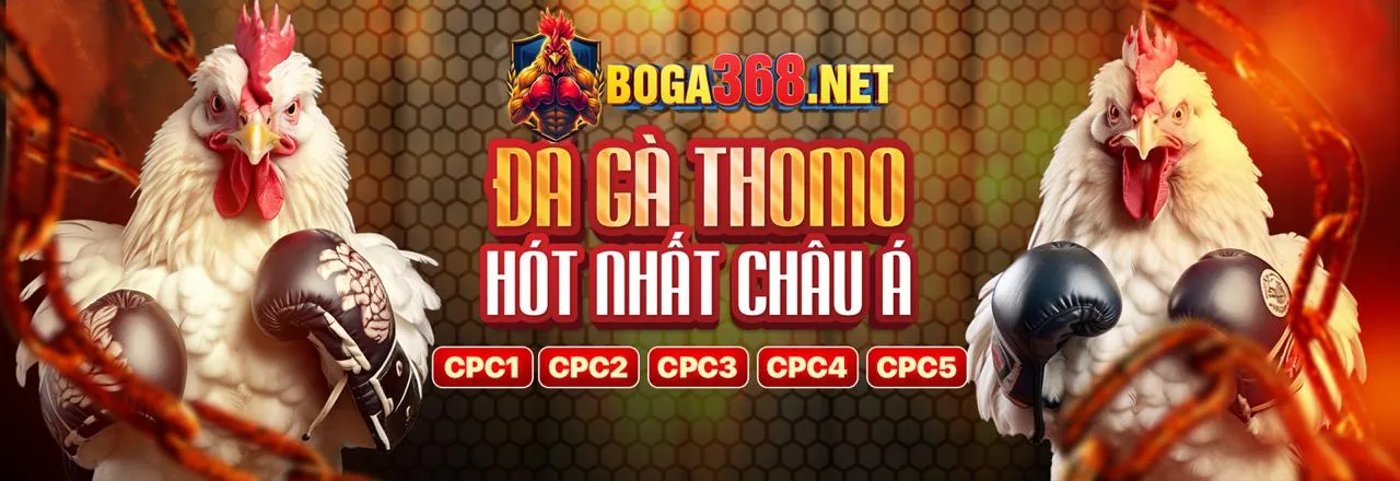 Mẹo Cược Đá Gà hi 88